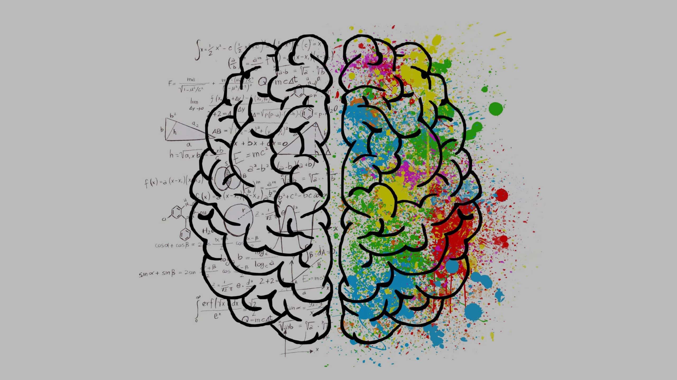 Illustration of a brain, half outlined and half in colour